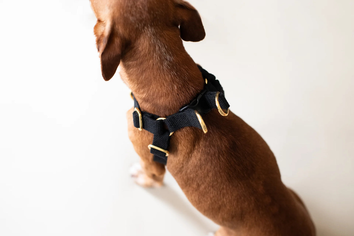 Vackertass Cotton Step-In Harness