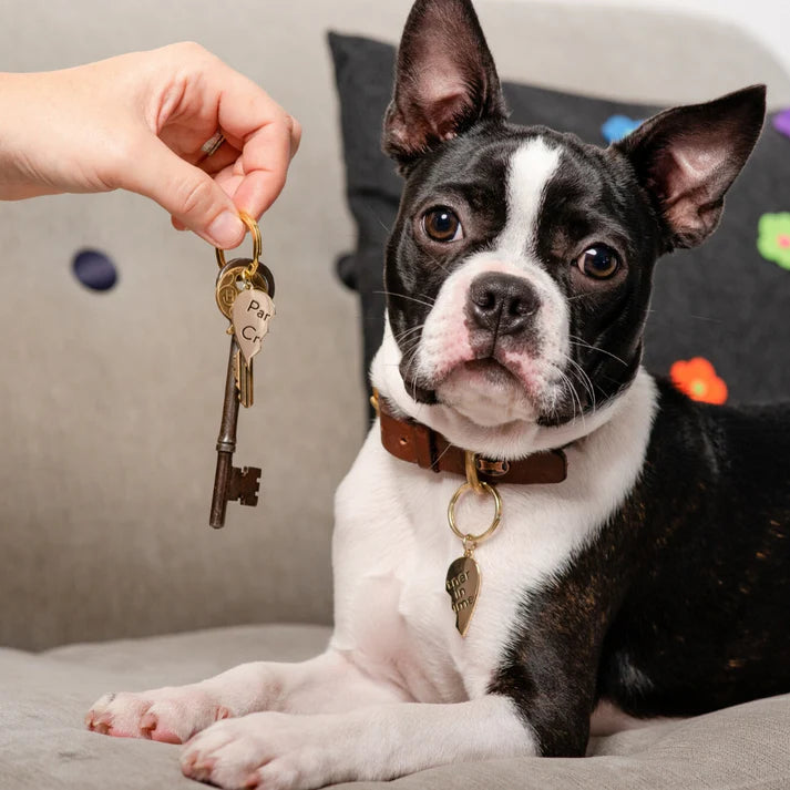 The Distinguished Dog Company "Partner In Crime" Charm Set