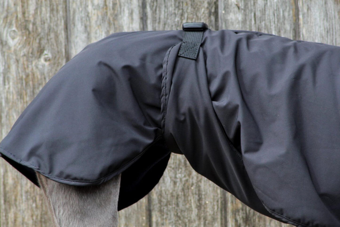 The Trendy Whippet Waterproof Winter Coat, Black