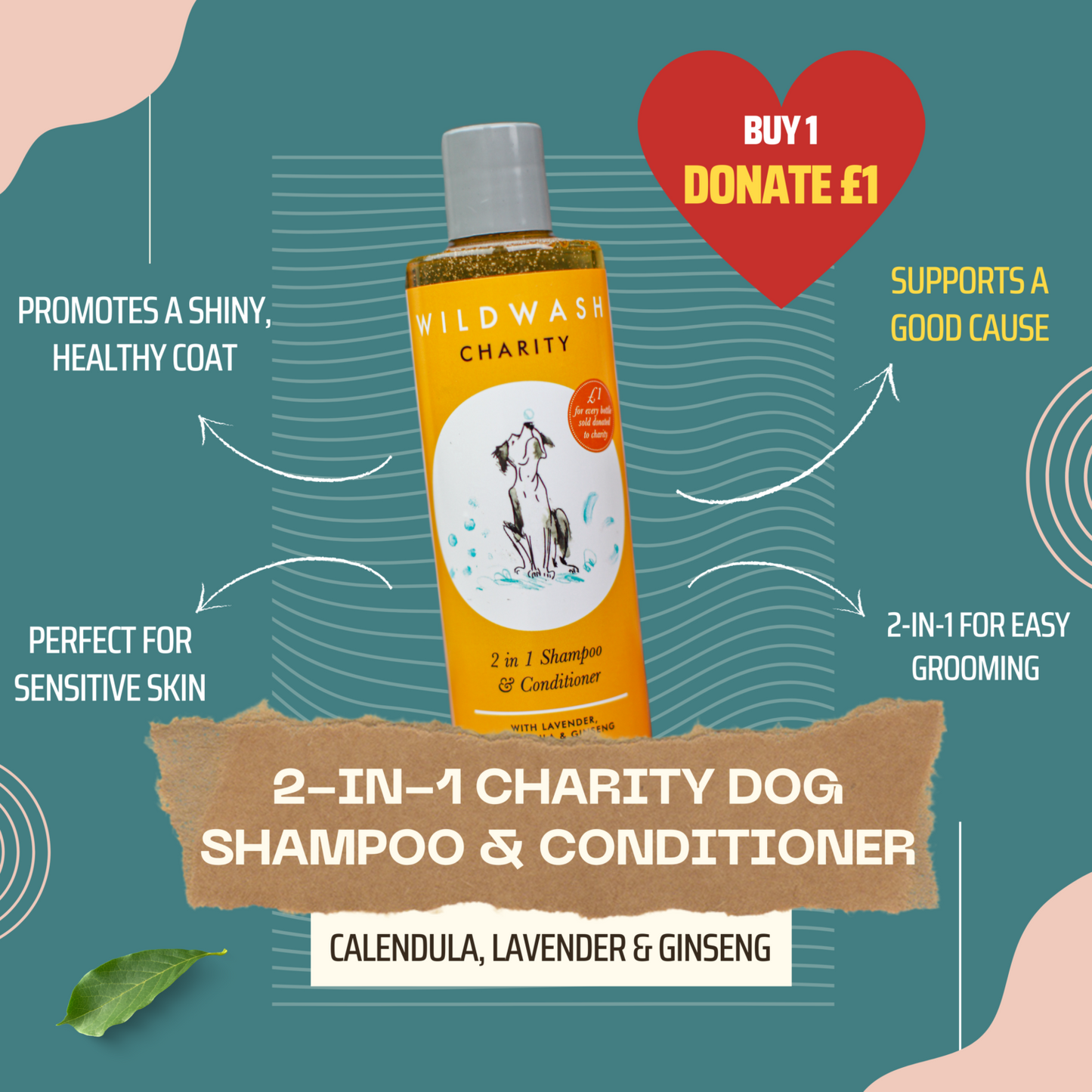 Wildwash Charity 2-in-1 Shampoo & Conditioner