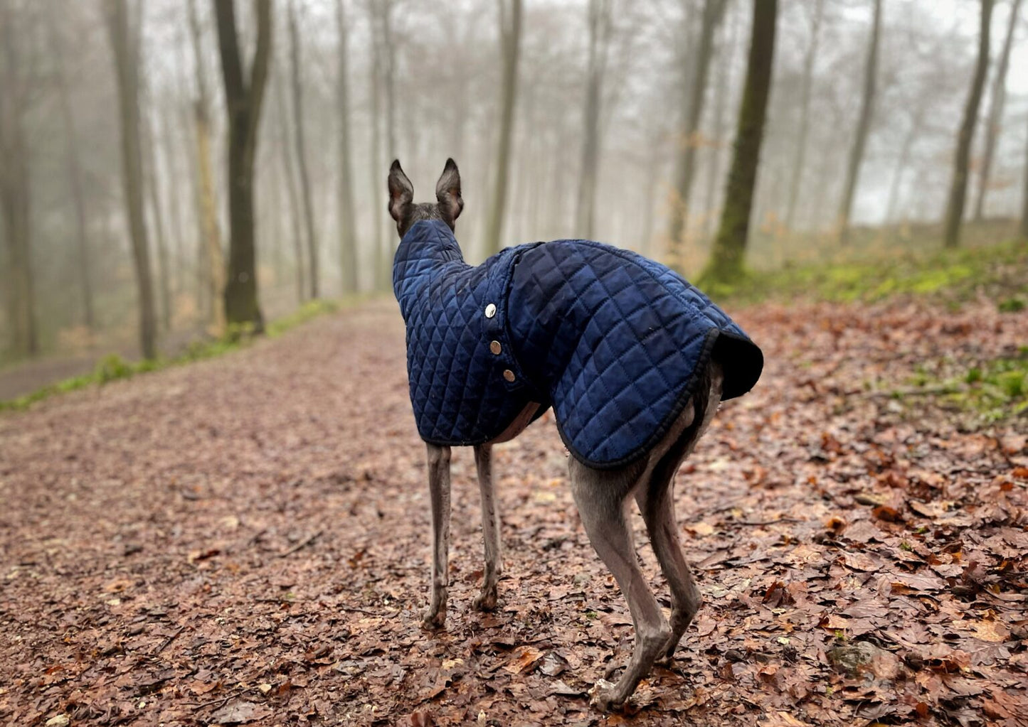 The Trendy Whippet Navy Quilted Waterproof Coat
