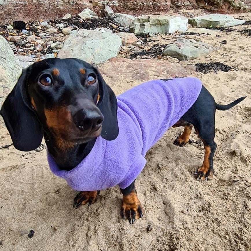 Pawsome Suits Fleece Tanki - Lilac