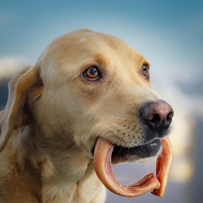 JR Pet Products Odourless Pizzle