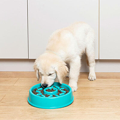 ZippyPaws Donut Happy Bowl