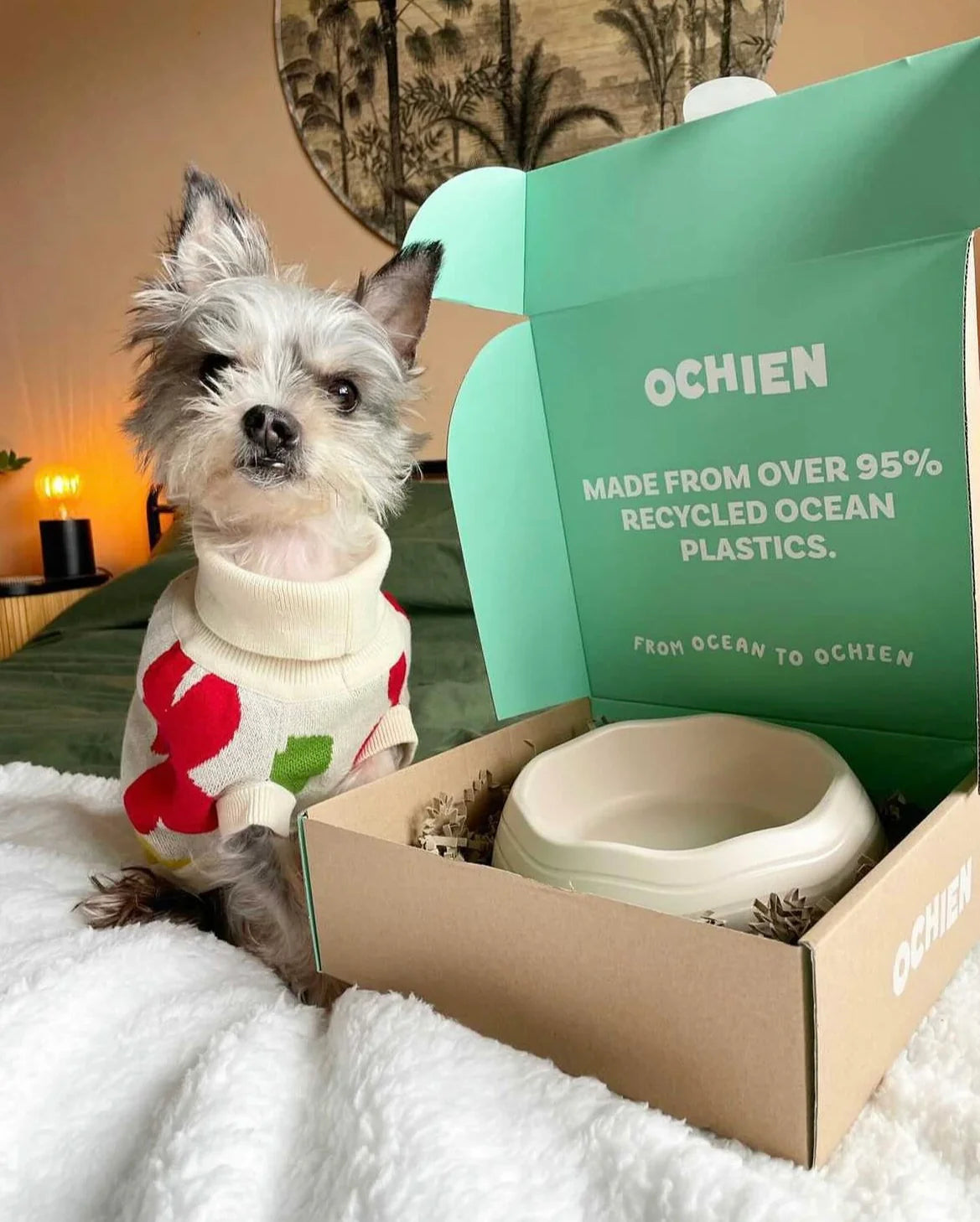 Ochien Recycled Ocean Plastic Bowl