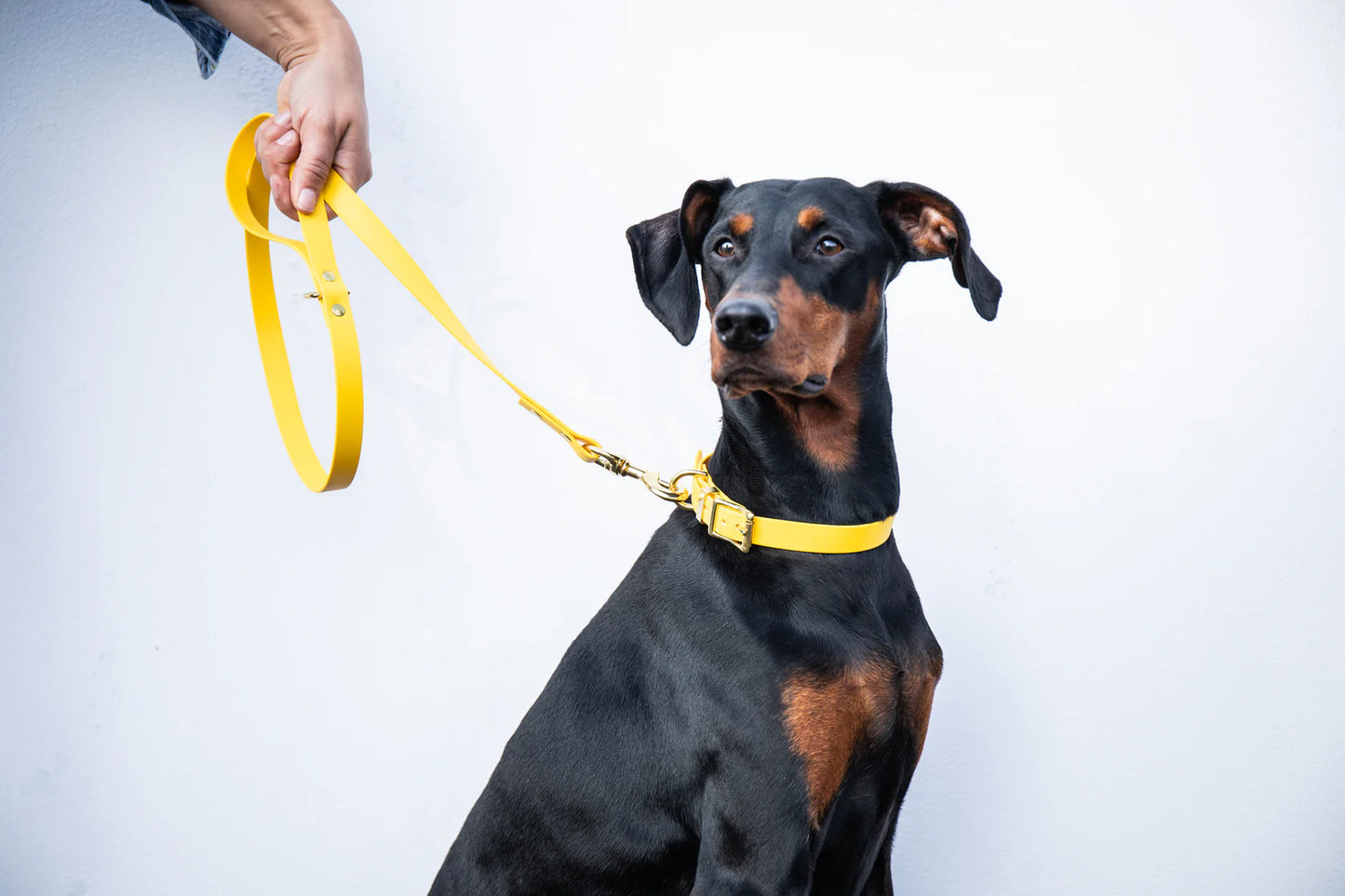 Storeys & Tails All Weather Biothane Lead, Yellow