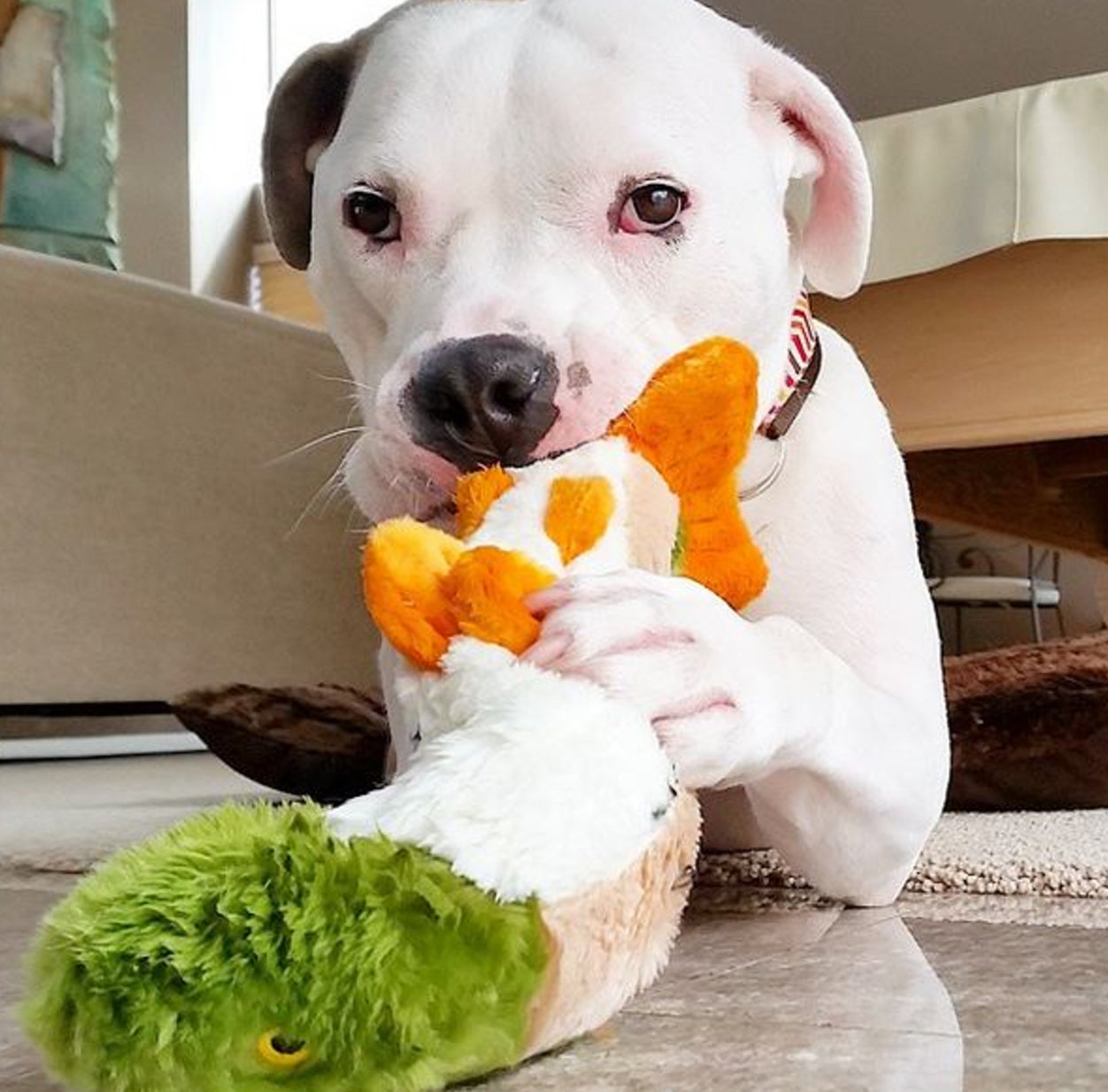Fluff and Tuff Ruby Rainbow Trout