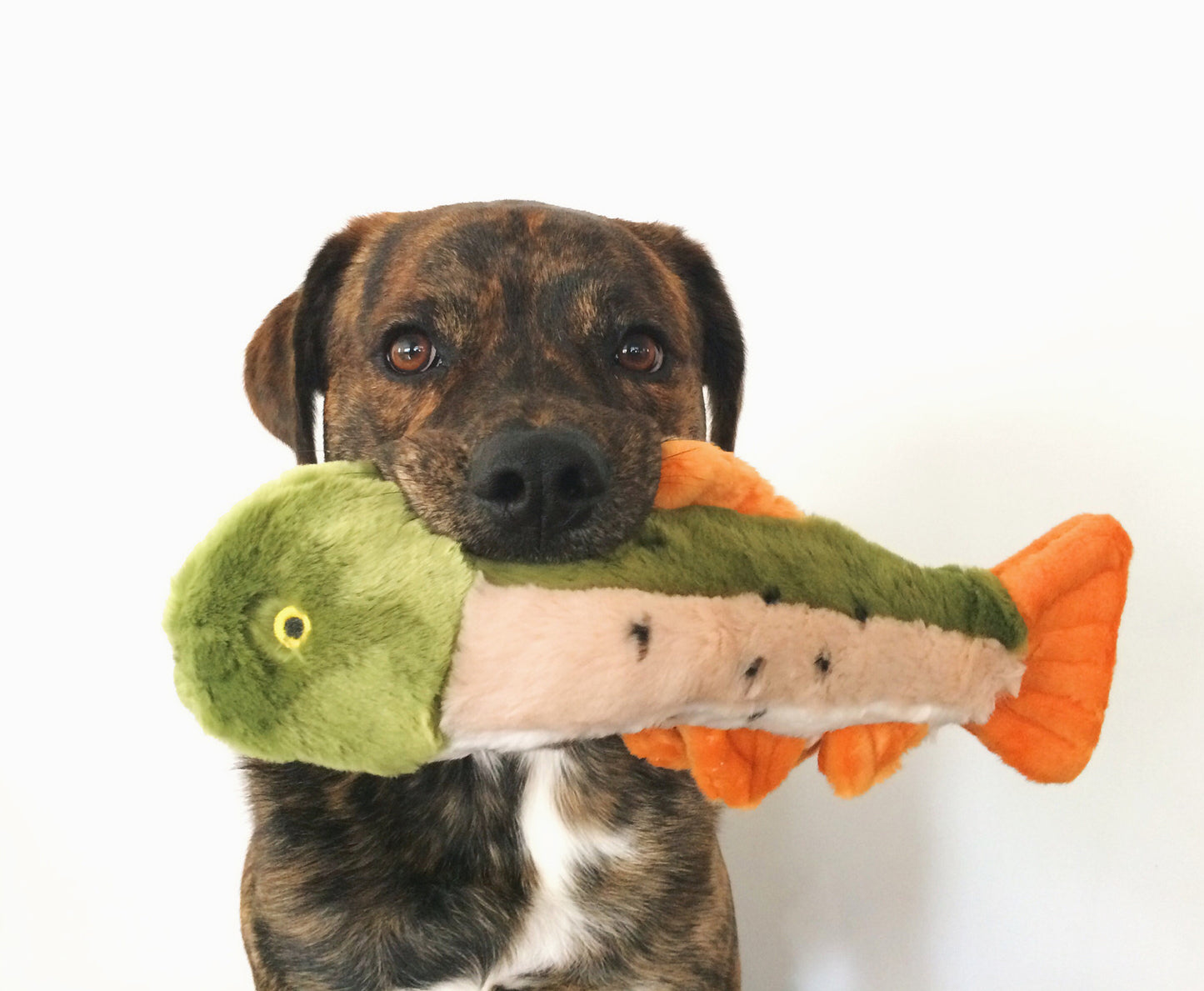 Fluff and Tuff Ruby Rainbow Trout