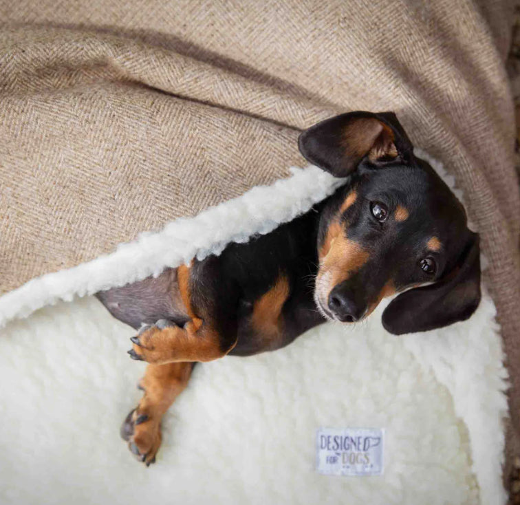 Designed For Dogs Doggy Den Bed