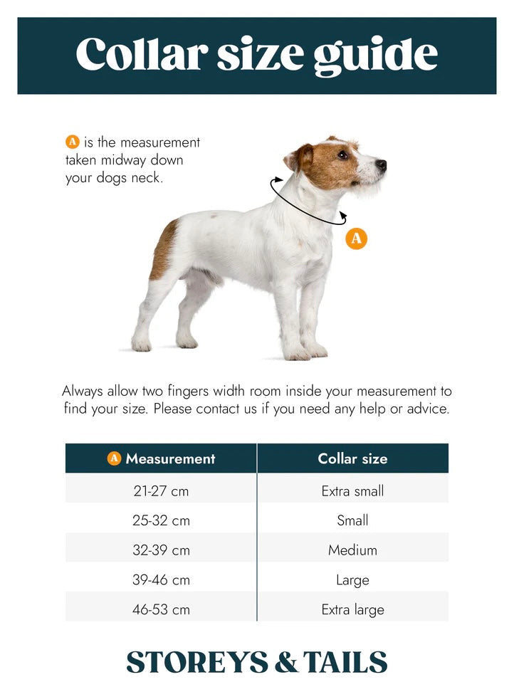 Storeys & Tails All Weather Biothane Collar, Pink