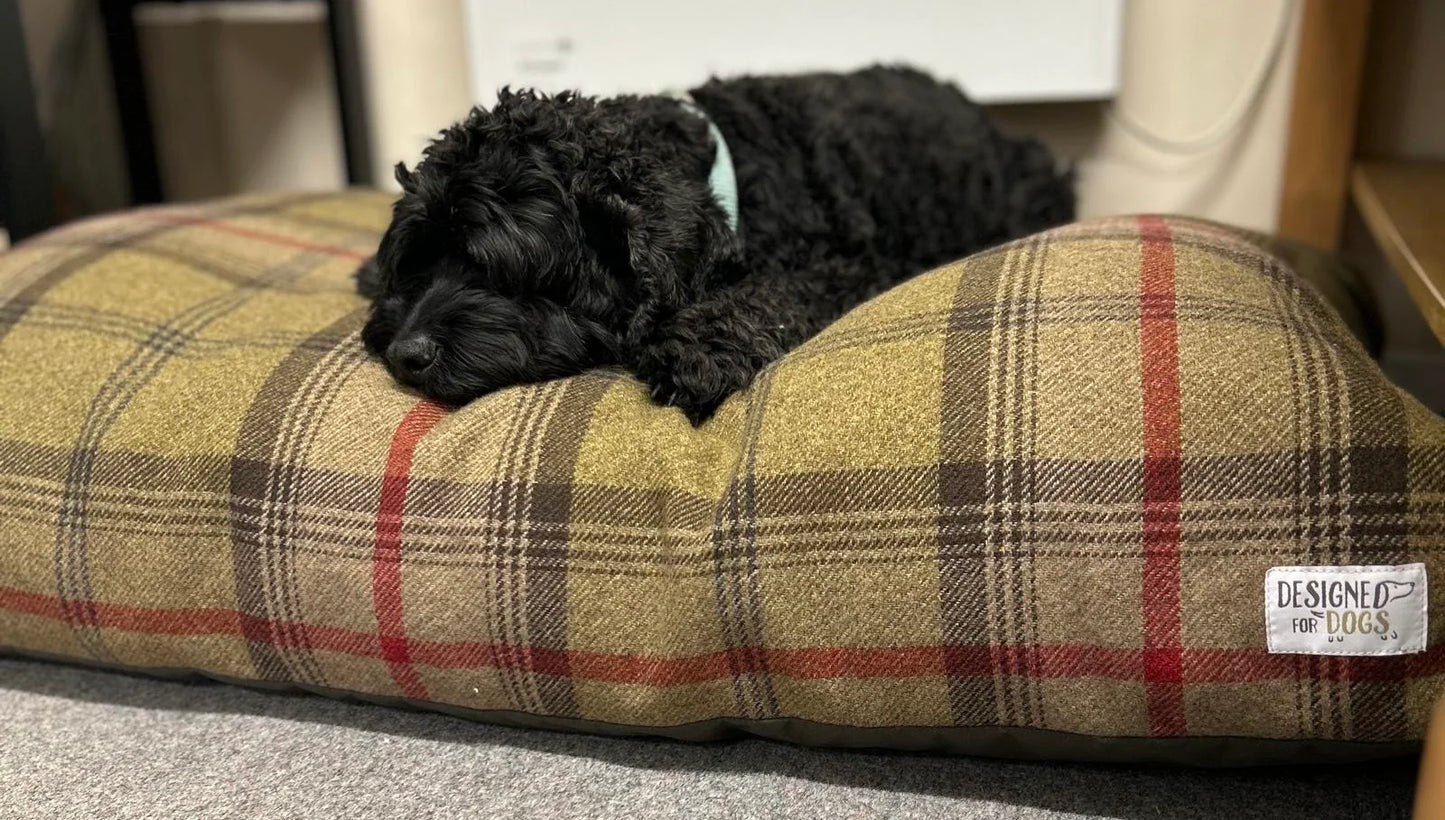 Designed For Dogs Mattress Beds