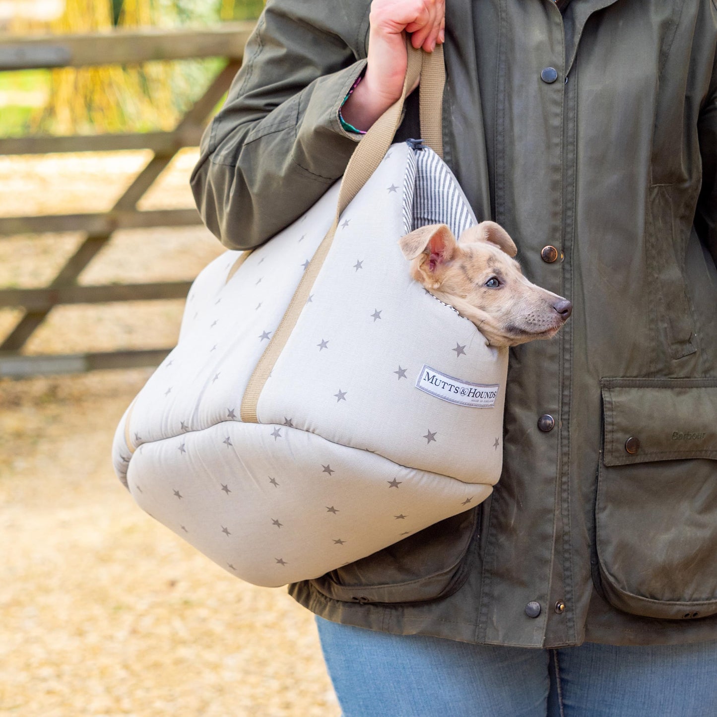 Mutts and Hounds Grey Stars & Charcoal Stripe Dog Carrier