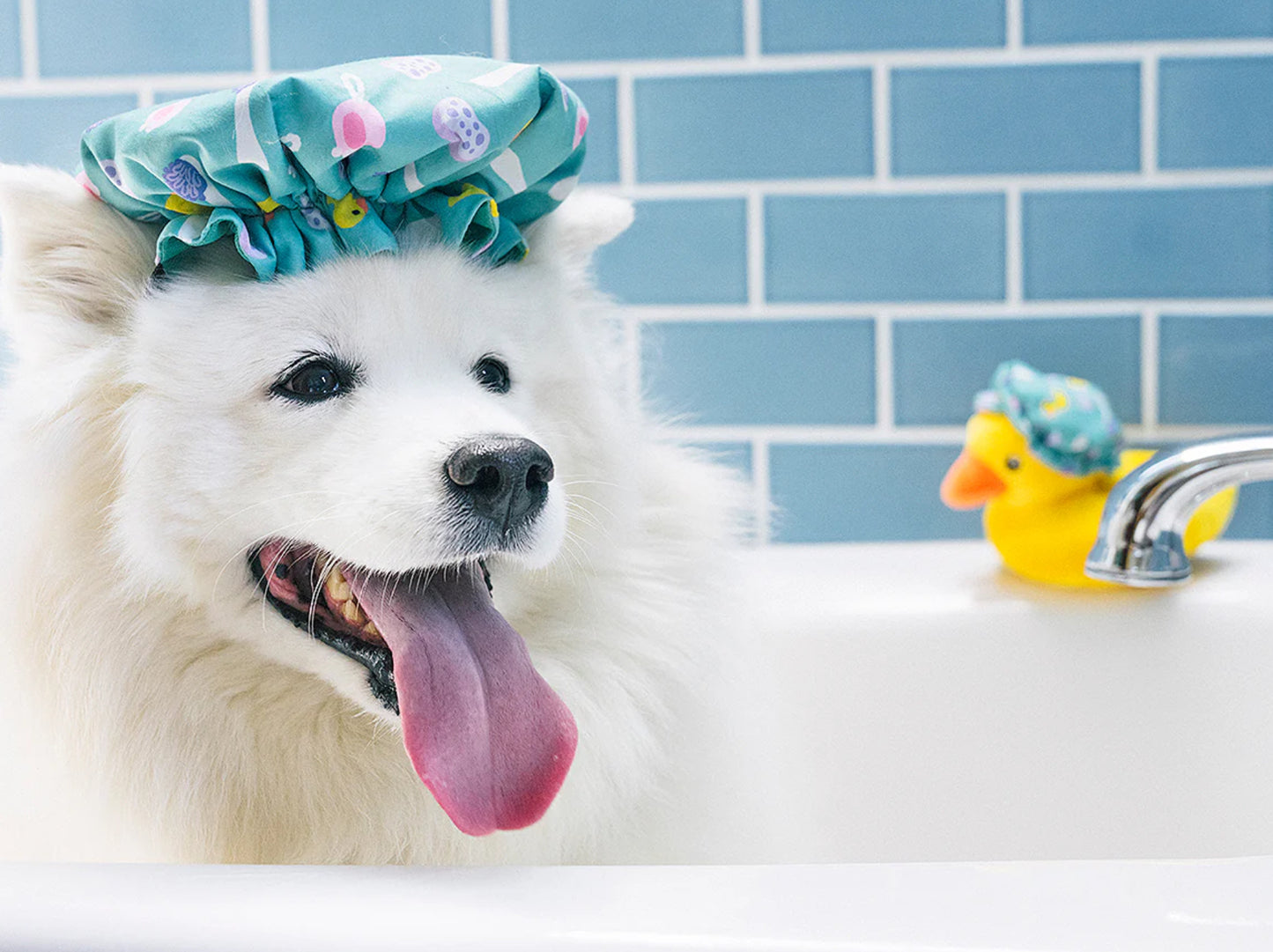 P.L.A.Y Splish Splash Shower Quack Cap