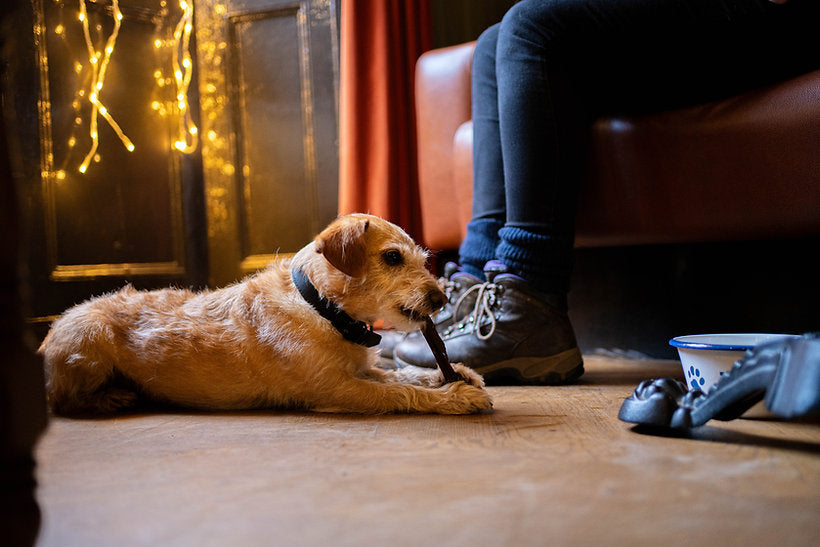 The Canine Menu Natural Chews