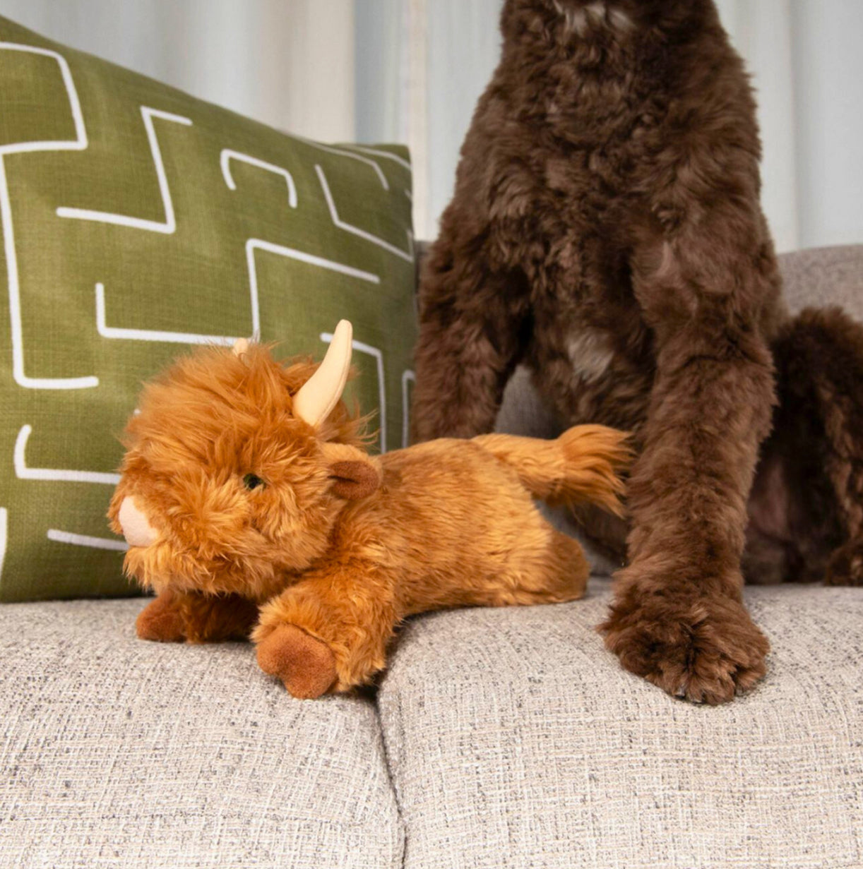 Fluff and Tuff Shaggy the Highland Cow