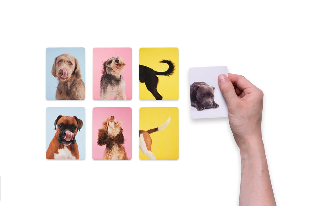 Teach Yourself Dog Game