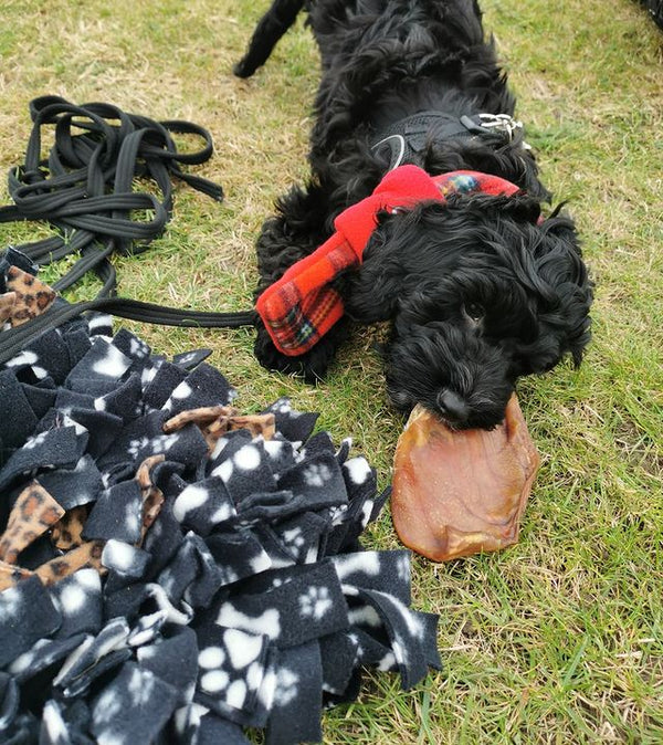 JR Pet Products Pigs Ears