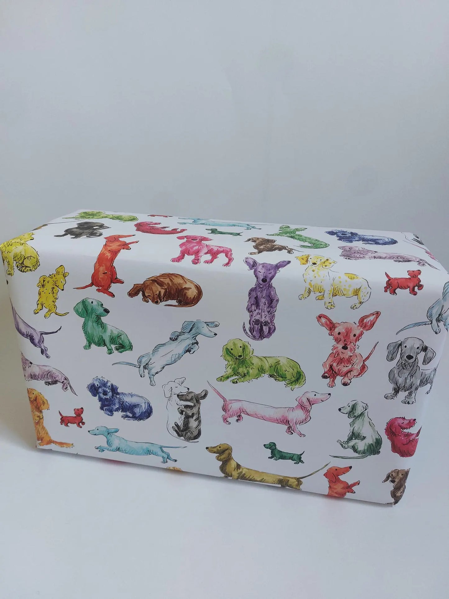 Tabitha Noakes “Rainbow Dachshund” Wrapping Paper