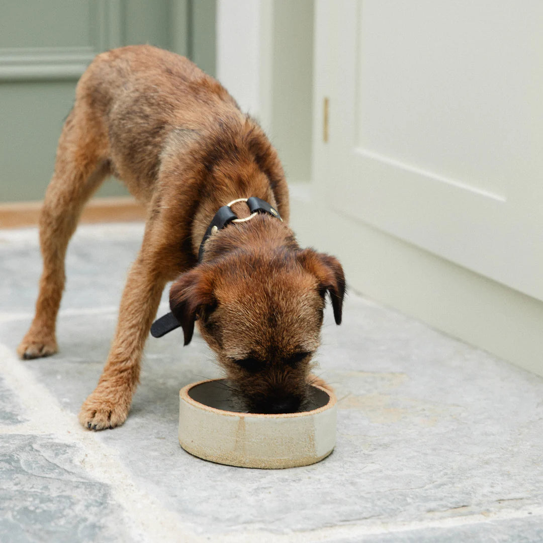 Kintails x epc Ceramic Bowl