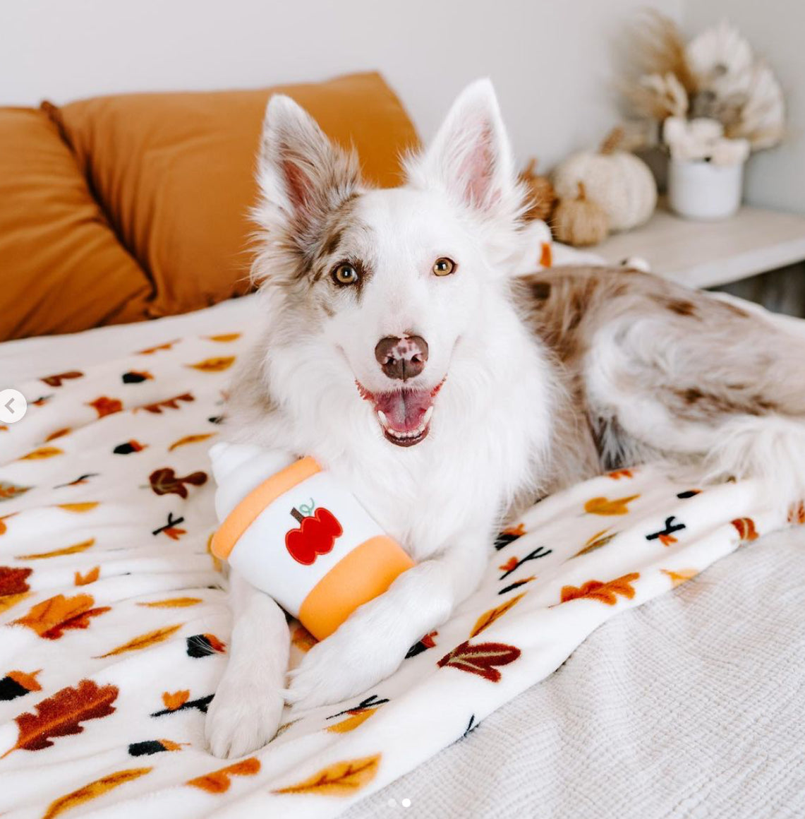 ZippyPaws Pumpkin Spiced Latte