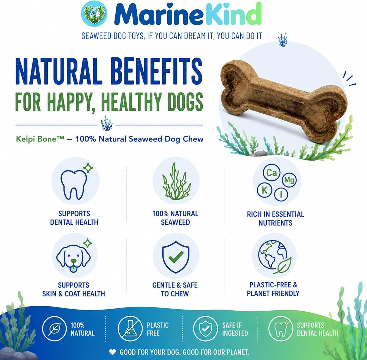 Marine Kind Kelpi Bone