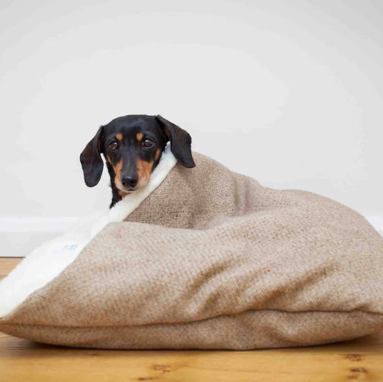 Designed For Dogs Doggy Den Bed