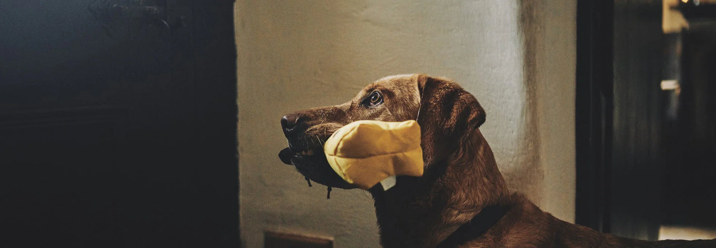 Beco Recycled Rough & Touch Kangaroo