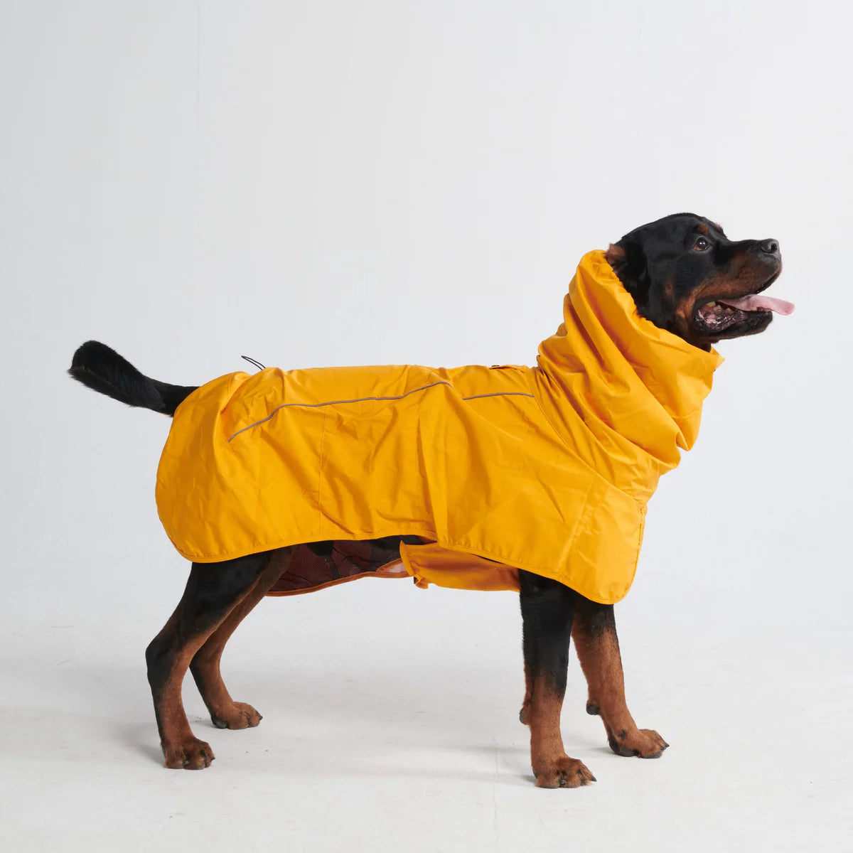 Spark Paws Breatheshield™ Raincoat, Yellow Mustard