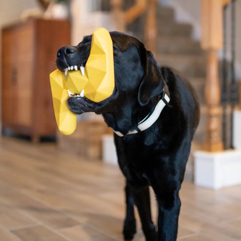 ZippyPaws ZippyTuff+ Lightening Bolt