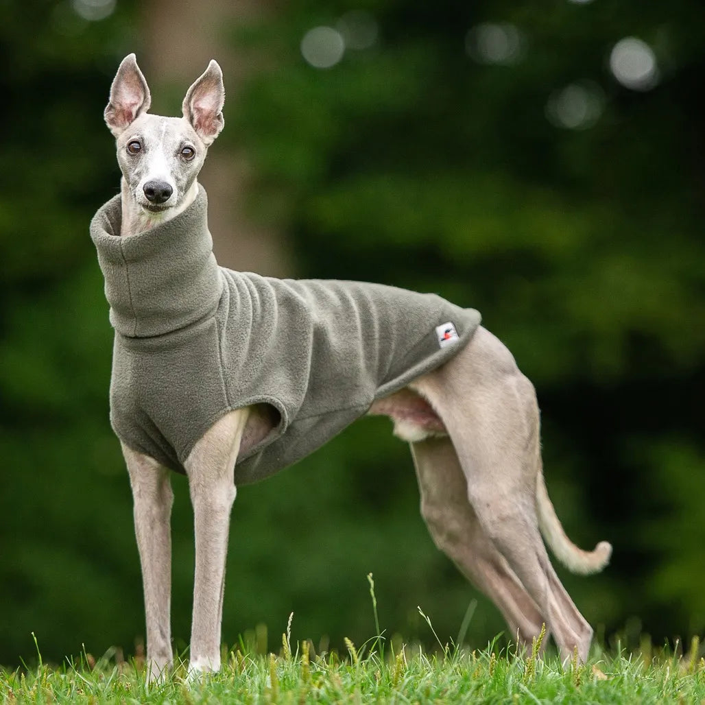 Greyhound fleece 2024