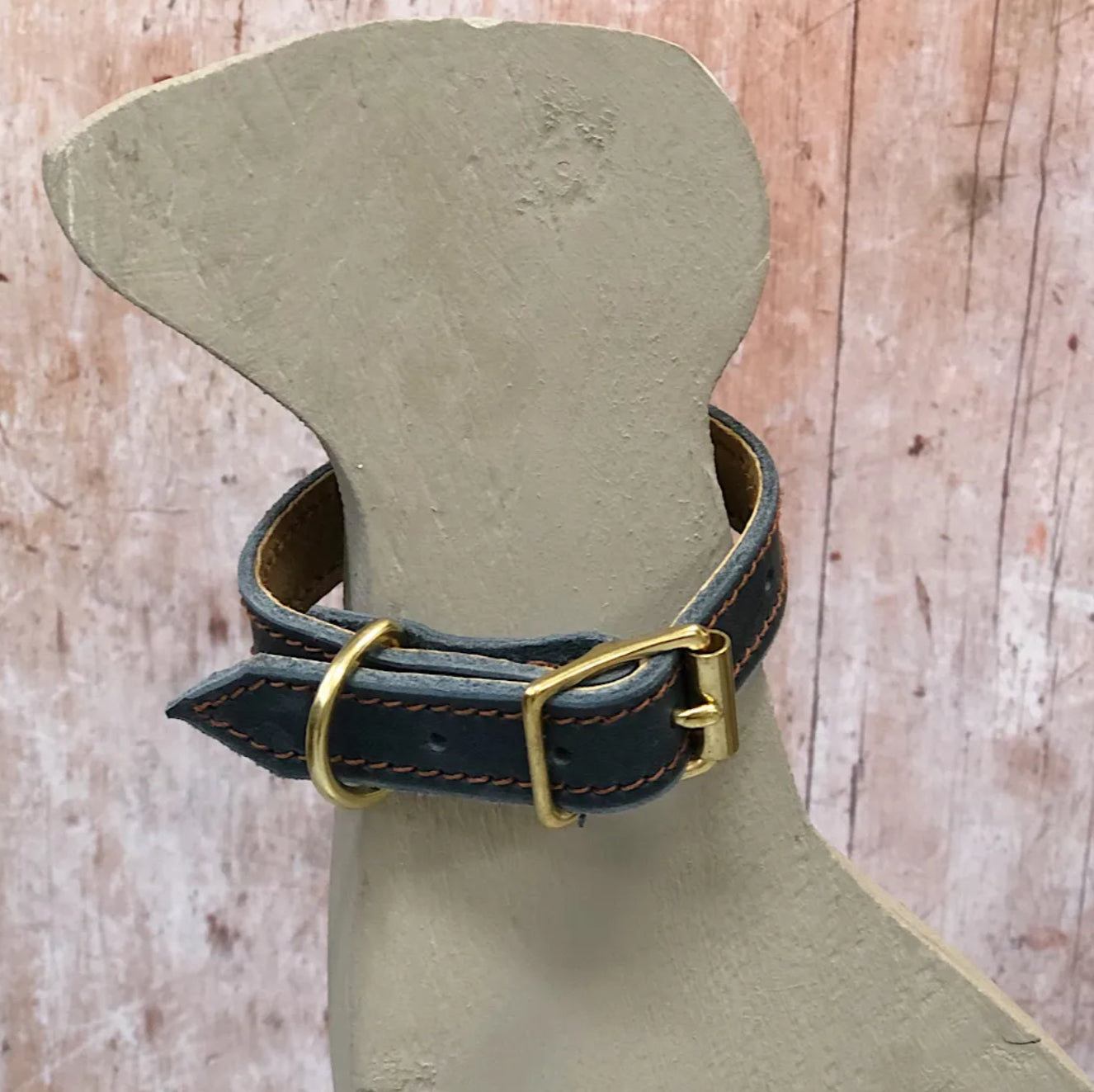 Redhound Puppy’s First Collar