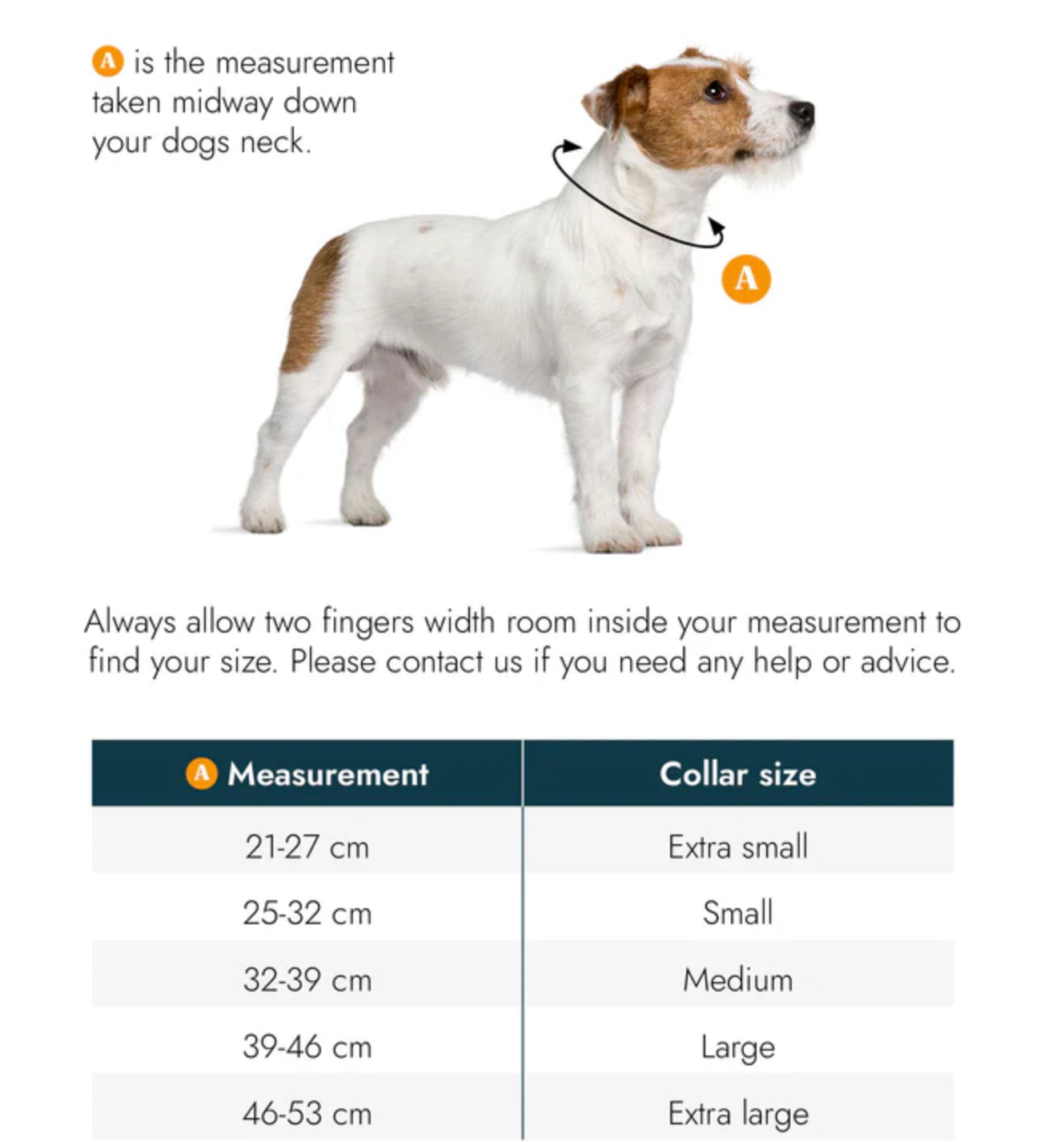 Storeys and Tails Luxury Leather Padded Hound Collar, Fig