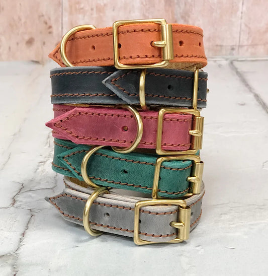 Redhound Puppy’s First Collar