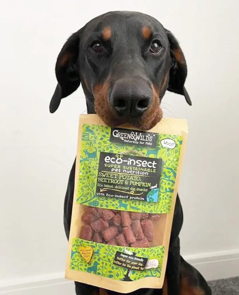 Green and Wild’s Eco-Insect Bakes