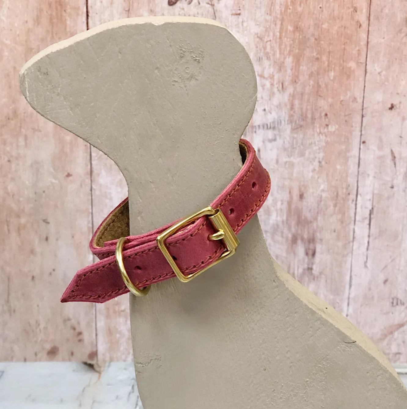 Redhound Puppy’s First Collar
