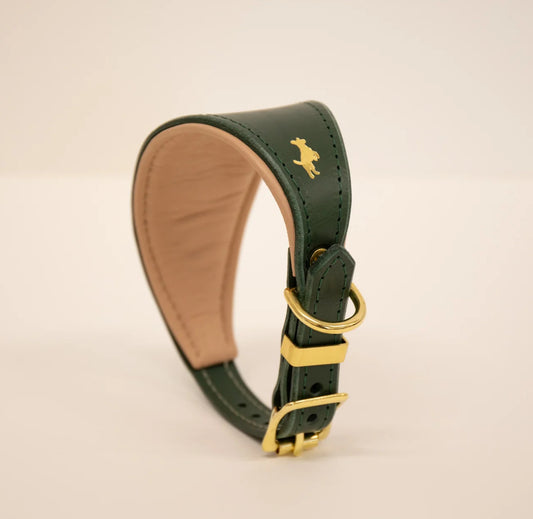 Storeys and Tails Luxury Leather Padded Hound Collar, Green