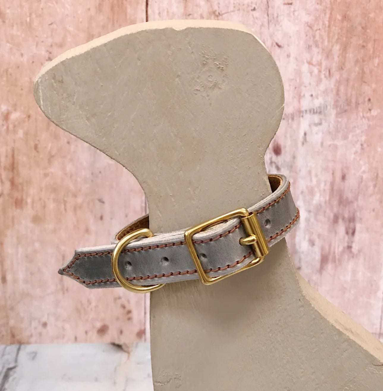 Redhound Puppy’s First Collar