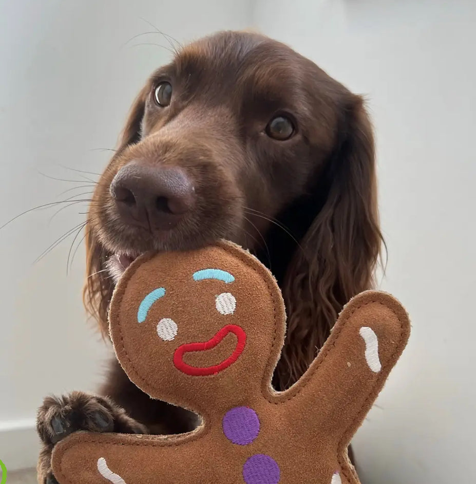 Green and Wild’s Jean Genie The Gingerbread Person, Eco Toy