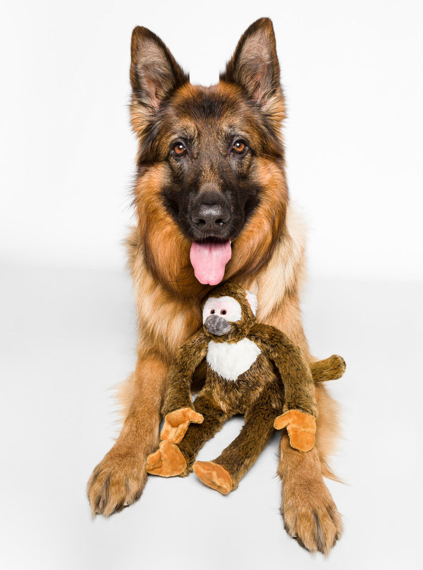 Fluff and Tuff Albert Squirrel Monkey