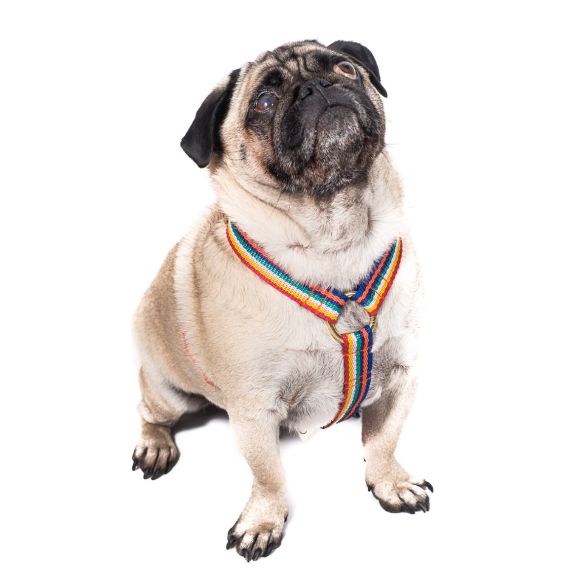 Doggie Apparel Lightweight Harness Rainbow