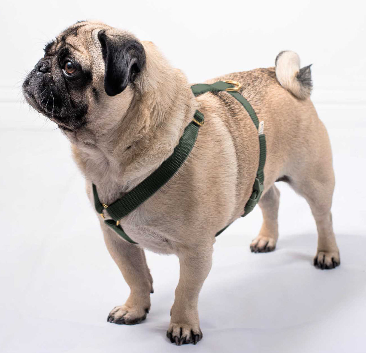 Doggie Apparel Lightweight Harness Olive