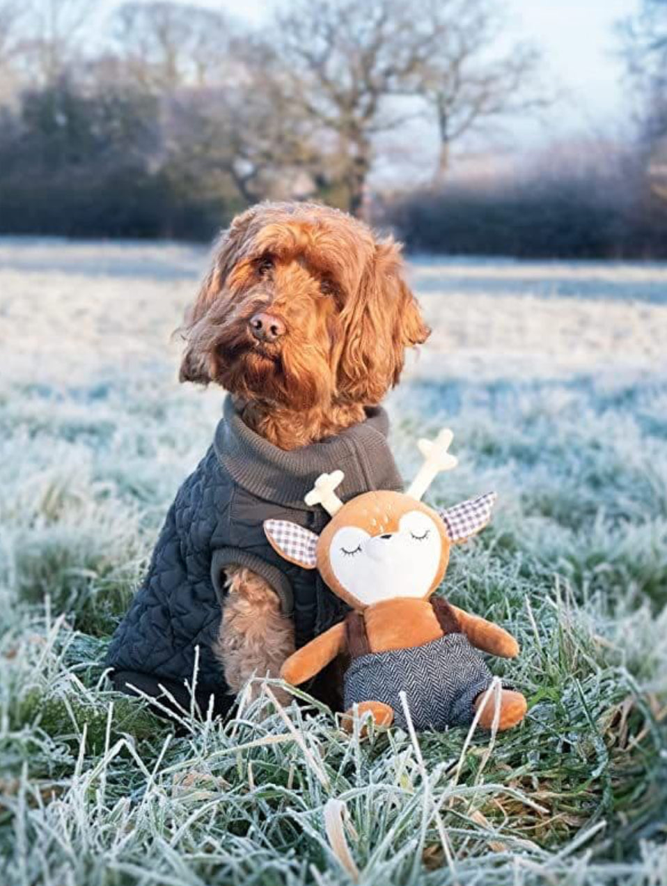 Comet and Cupid Robbie Reindeer