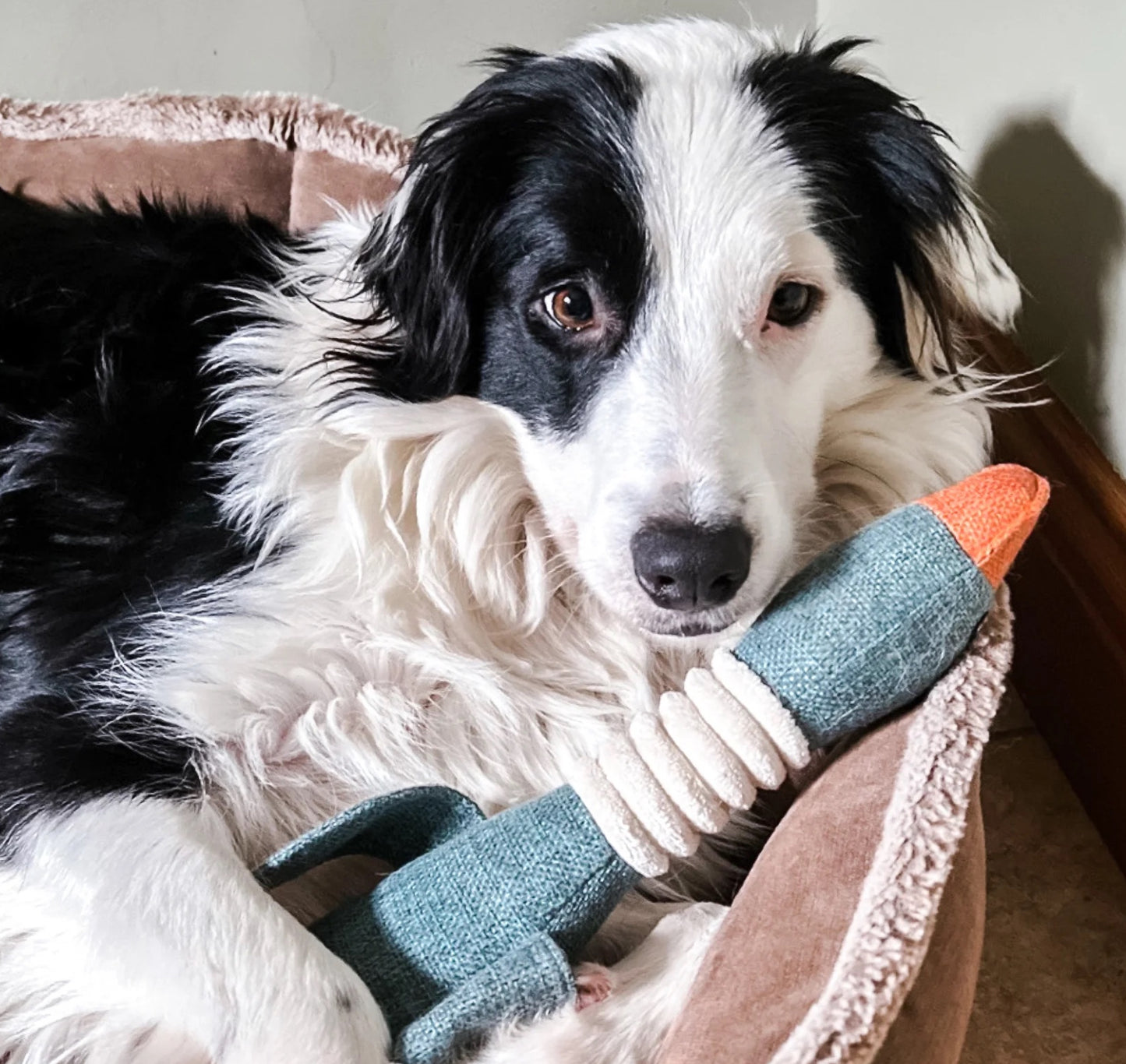 Border Loves Squeaky Darcy Duck Toy