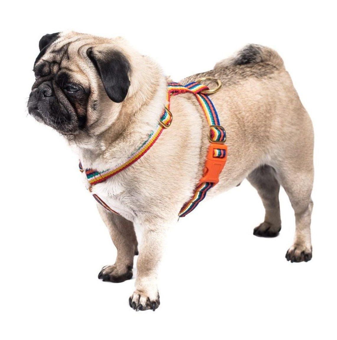 Doggie Apparel Lightweight Harness Rainbow