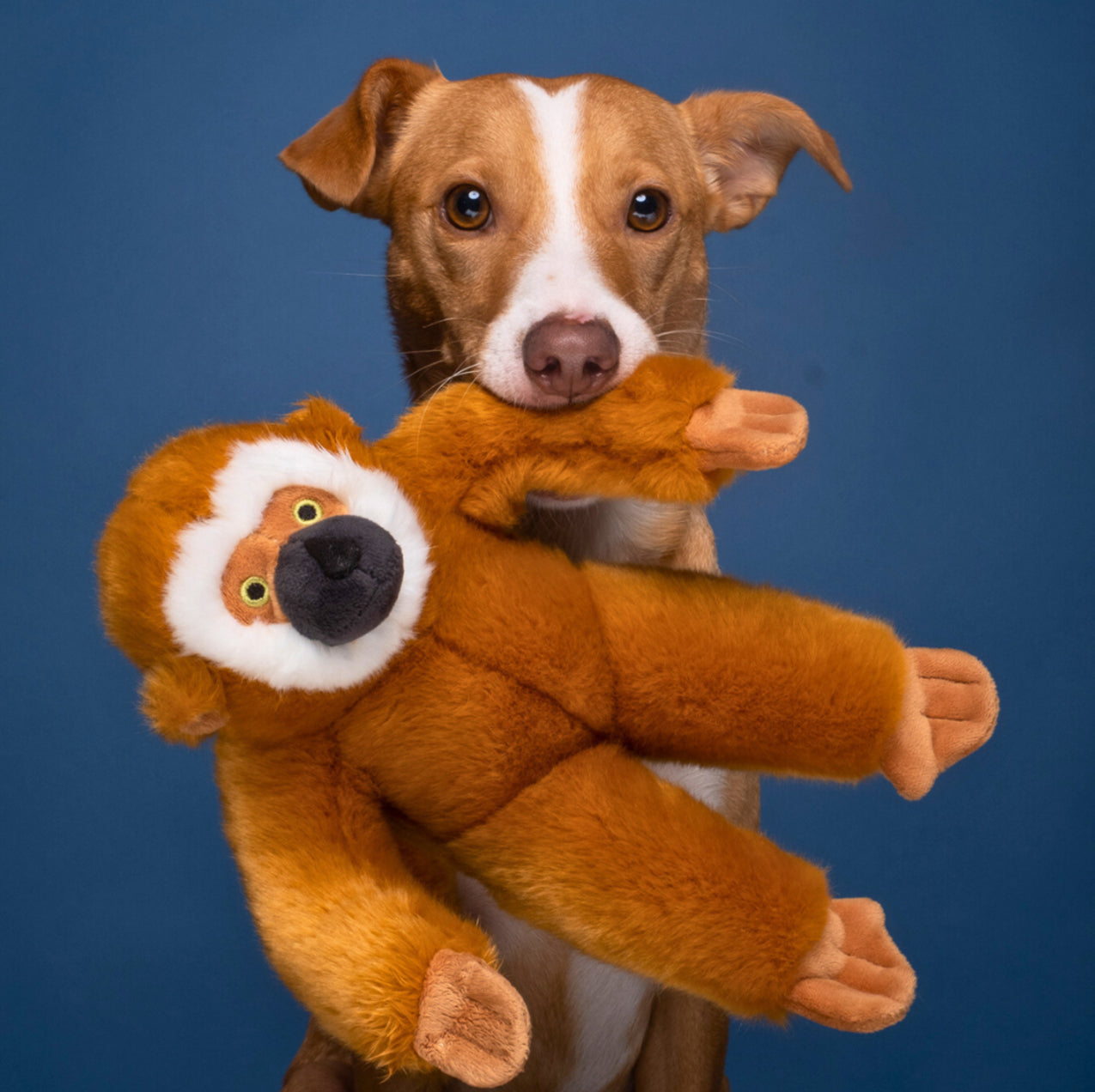 Fluff and Tuff Marcel Monkey