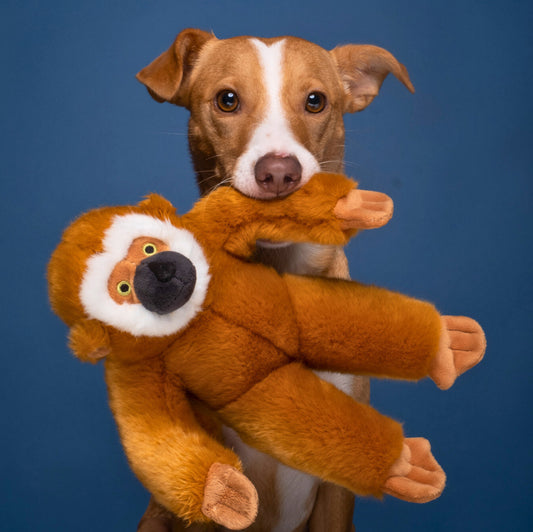 Fluff and Tuff Marcel Monkey