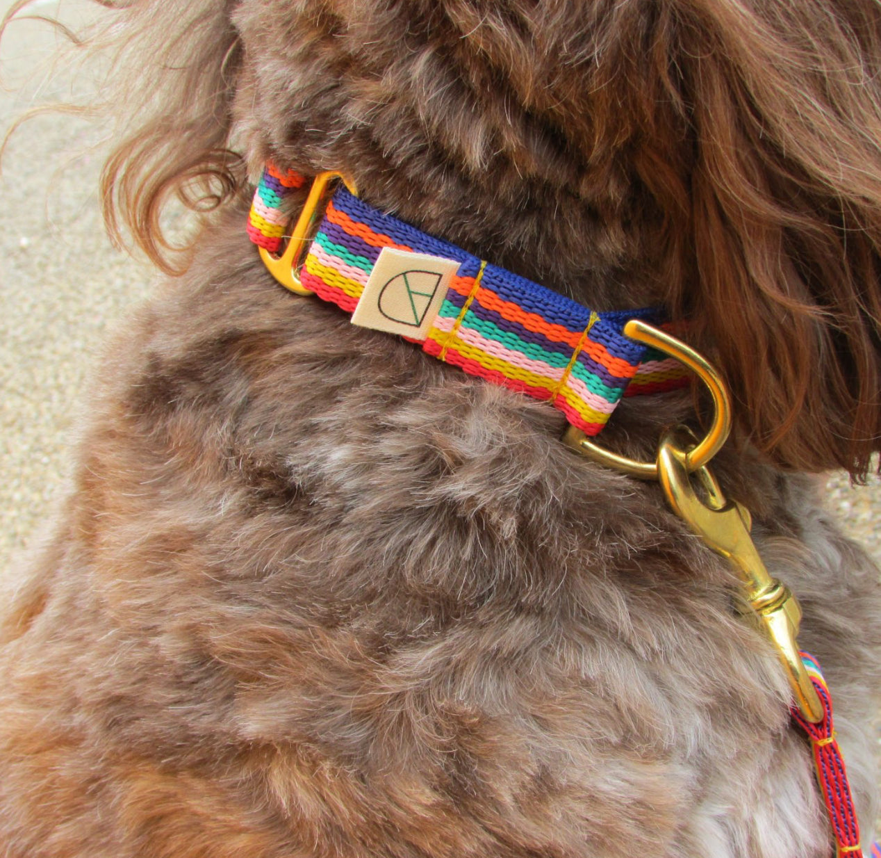 Doggie Apparel Lightweight Collar Rainbow