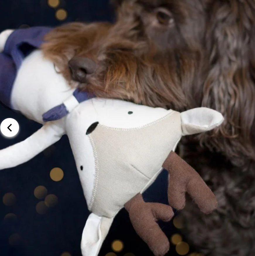 Comet and Cupid Festive Reindeer