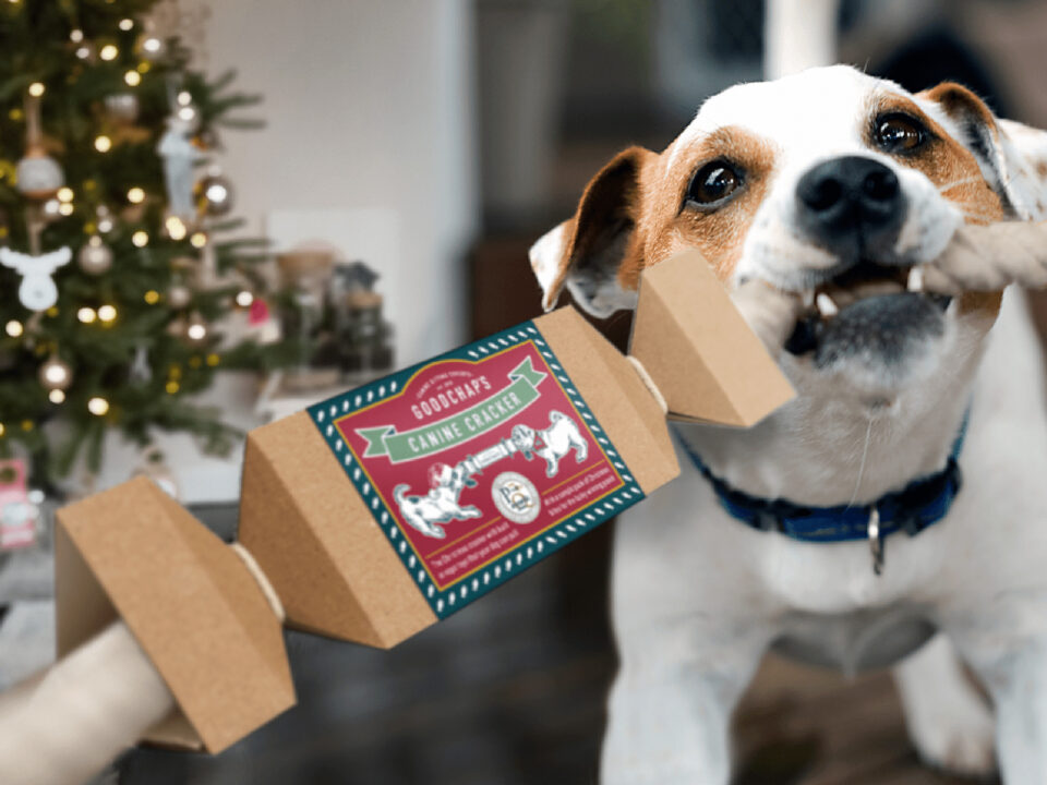 Goodchap's Christmas Cracker