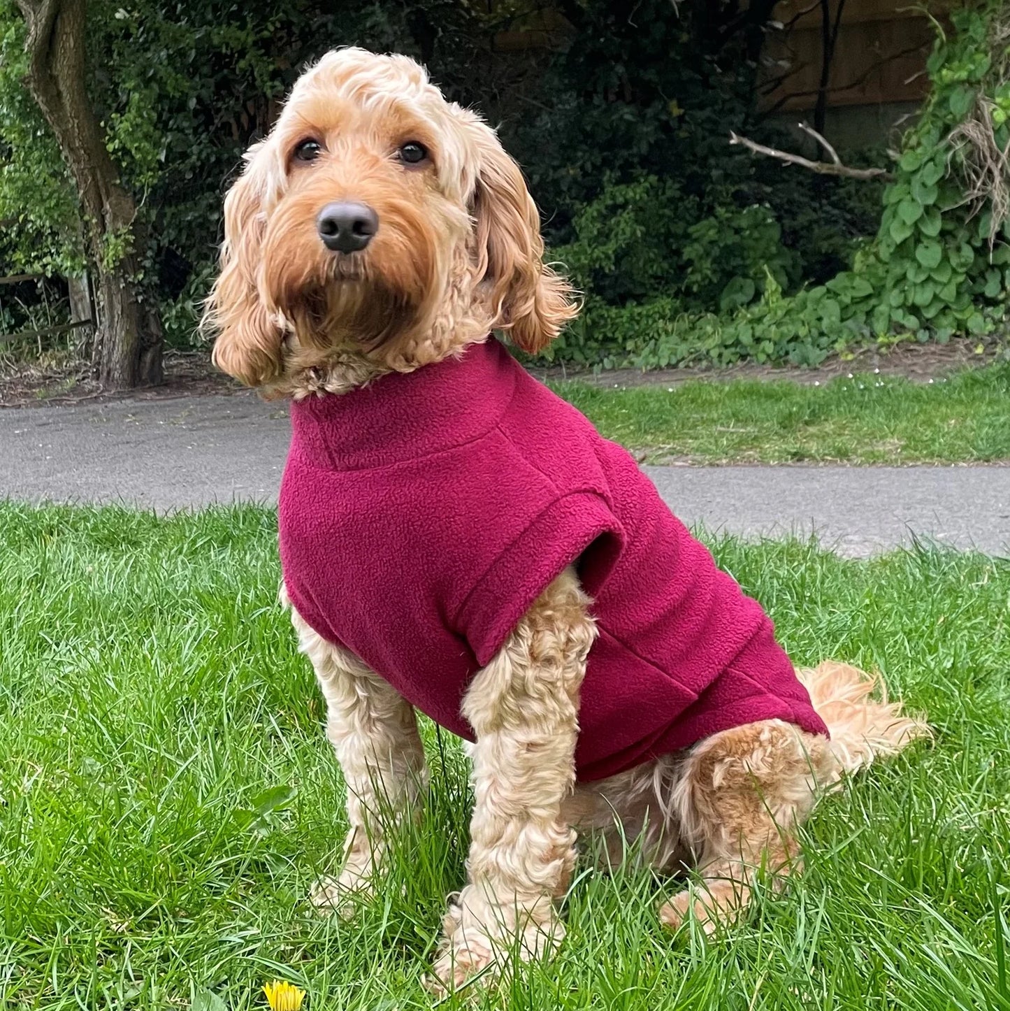 Pawsome Suits Fleece Tanki - Mulberry